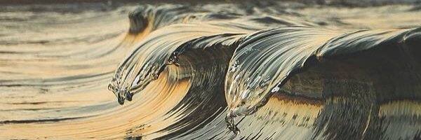 KelRy12's profile banner image