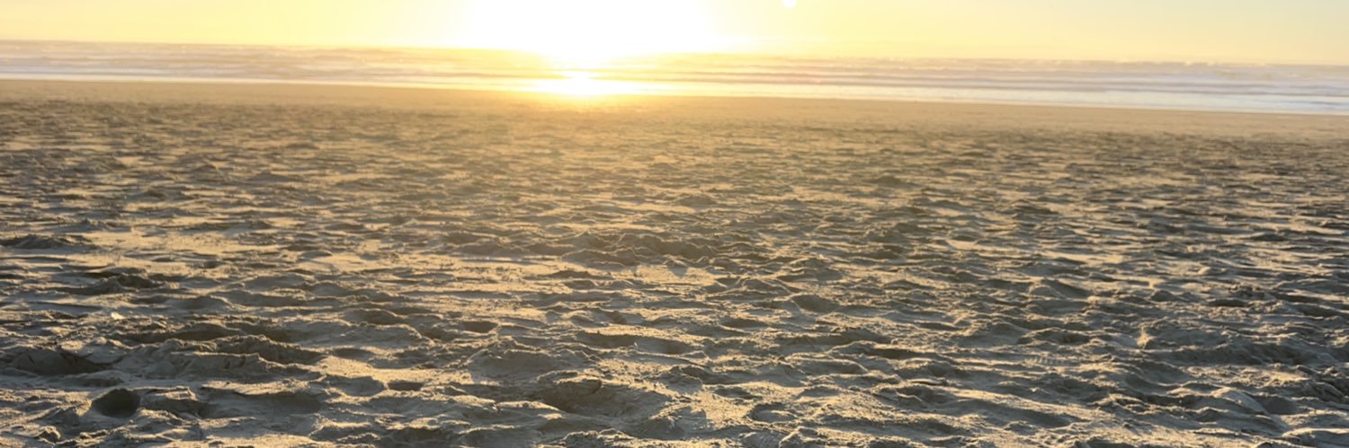 florentific's profile banner image