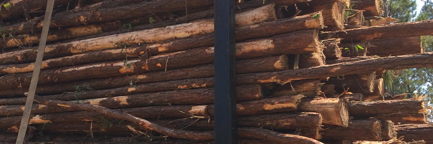 pfreder1111's profile banner image