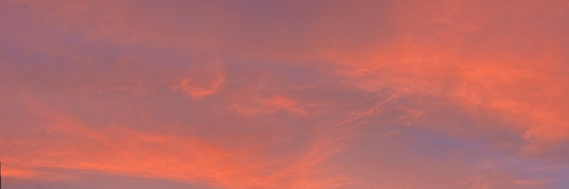 bailey_sidor's profile banner image