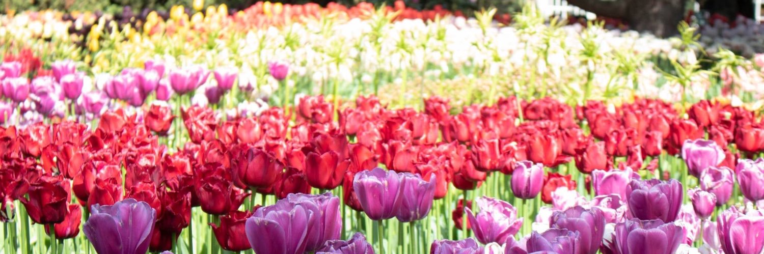 JFan24_7's profile banner image