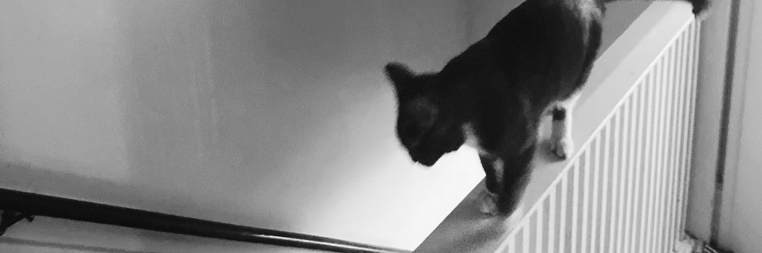 mimidlugos's profile banner image