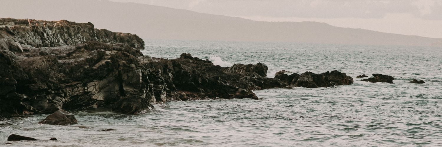 seeyeahra's profile banner image