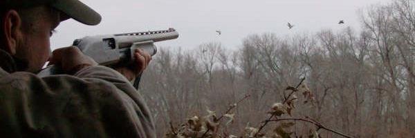 breamkiller's profile banner image