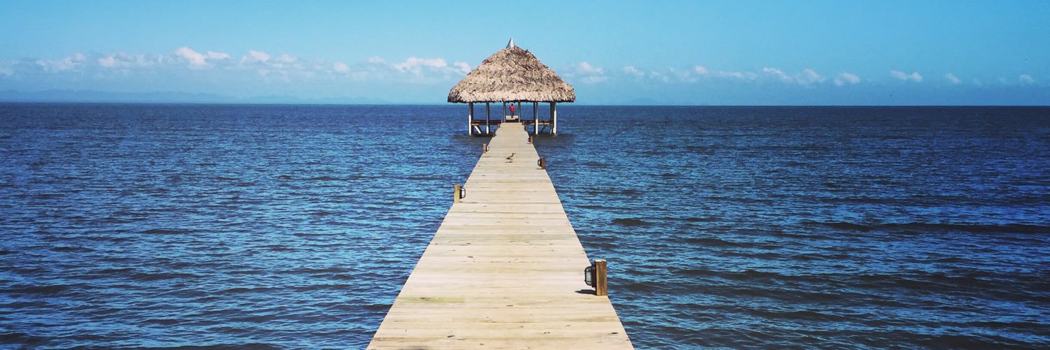 Carolina Robledo banner