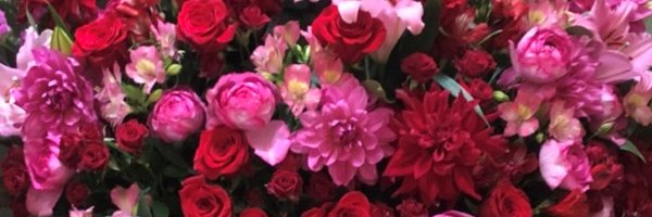 Azuku_f00's profile banner image