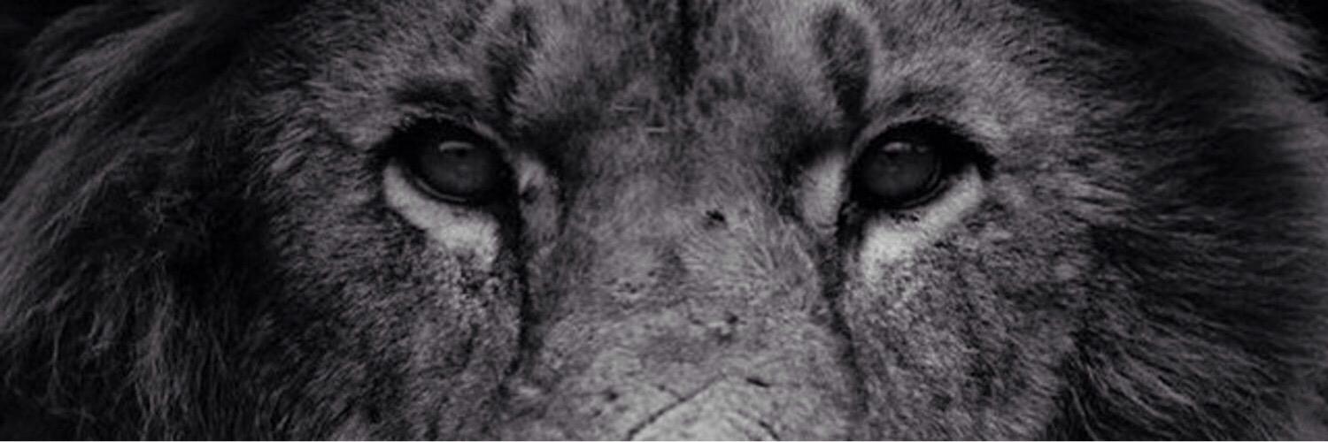 JoeCaroselli1's profile banner image