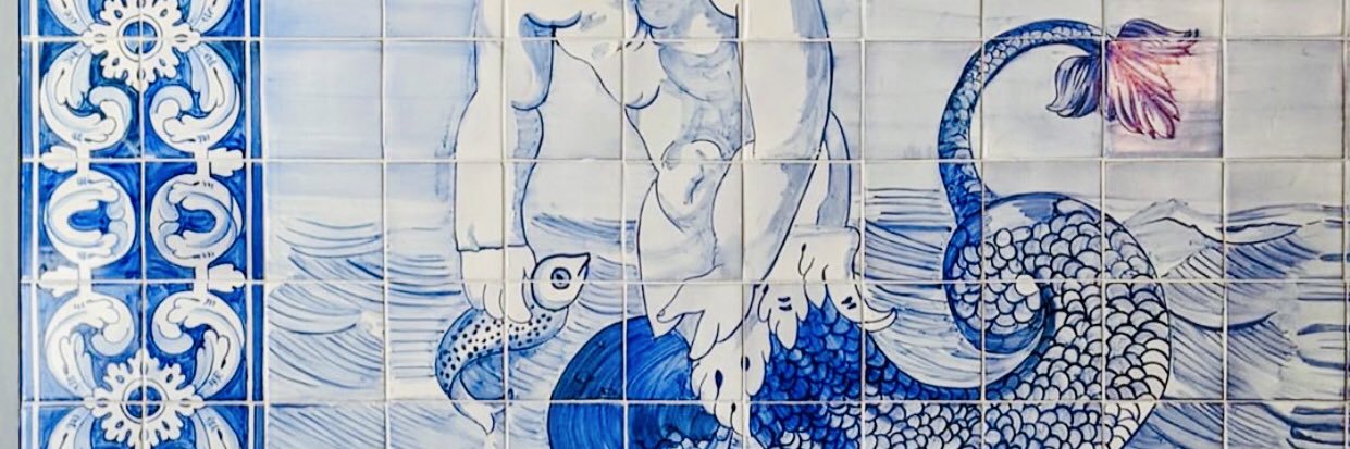 redbream's profile banner image