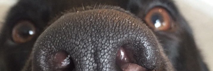 AlekNotTheActor's profile banner image