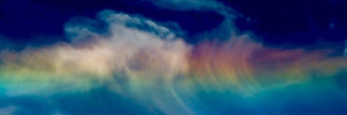 Jay David Murphy banner