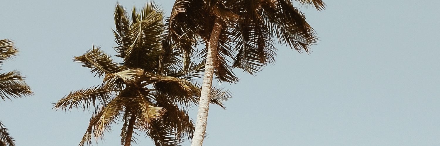 🕊️🫶🏽🤍🇻🇪 banner