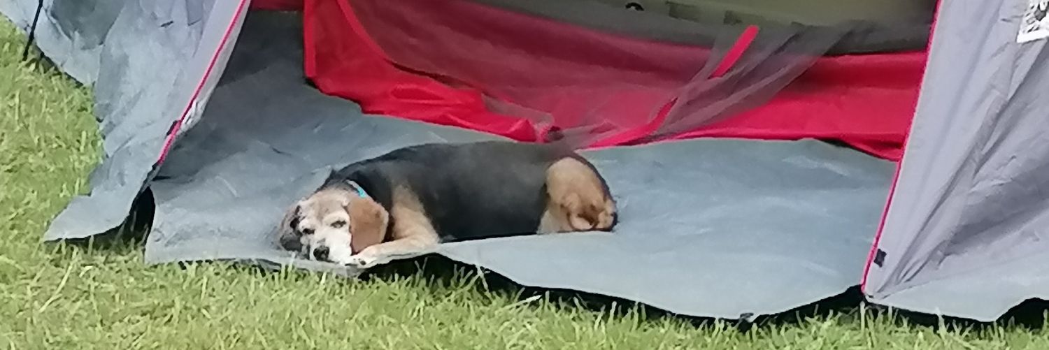 Rick Mikelson banner