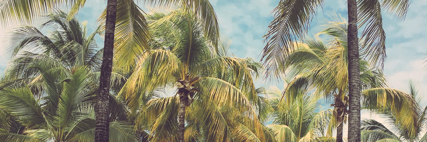 justwager's profile banner image