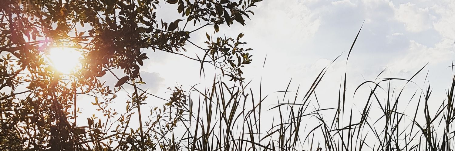 jiggsnava's profile banner image