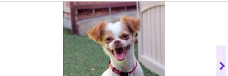 MarshDoggg's profile banner image