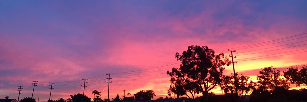 taylorramsdell's profile banner image