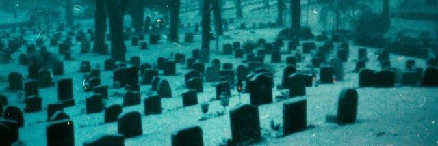 evildeadsun's profile banner image