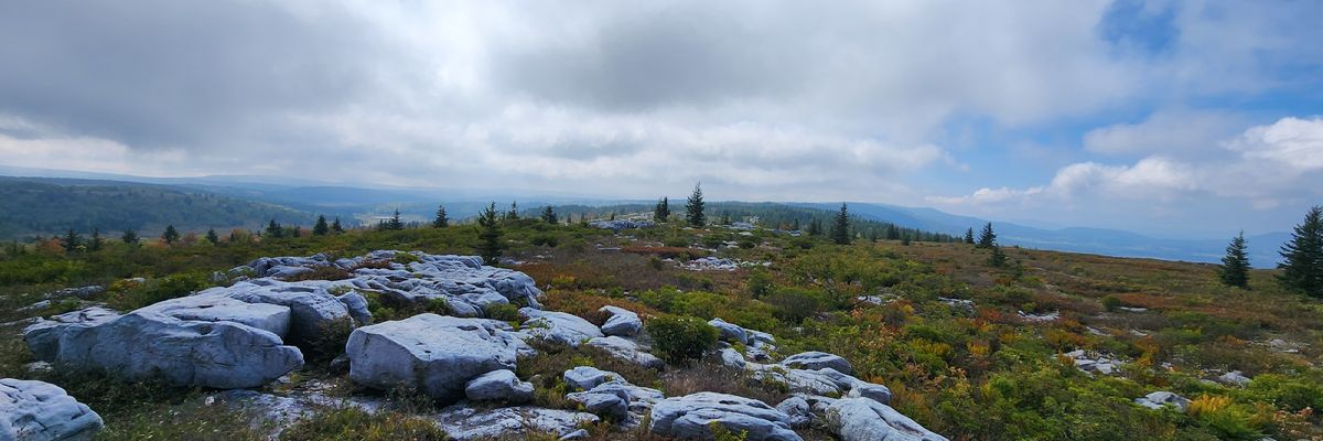 MrChrisClay's profile banner image