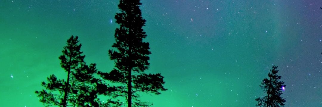 tiptoetim's profile banner image