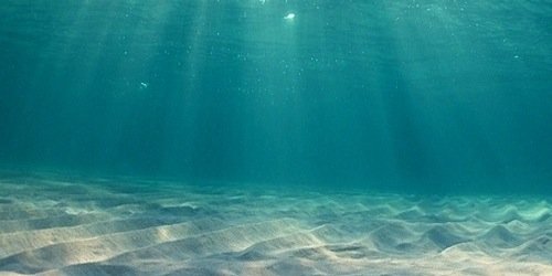 kindseyjoy's profile banner image