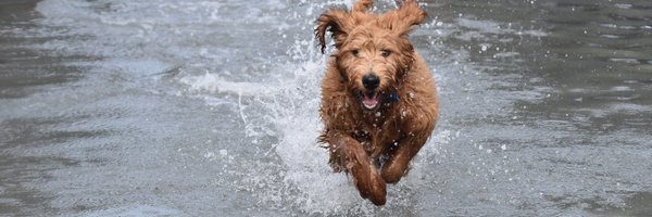 AussieStorBlog Profile Banner