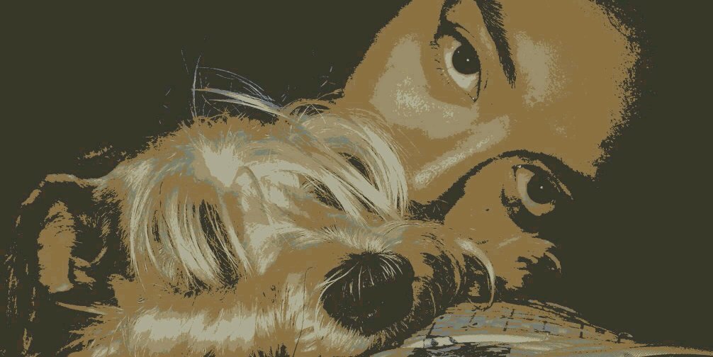 MeL banner
