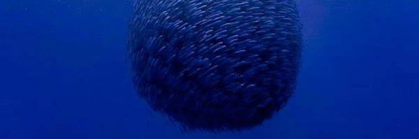 equalloudness Profile Banner