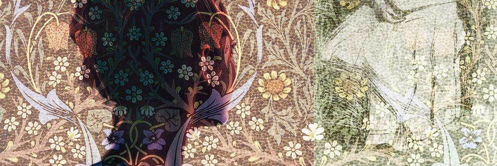 TiraKhan's profile banner image