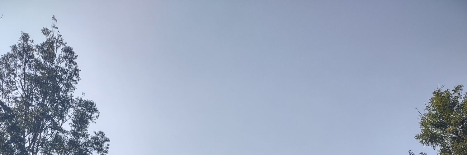 gabriel_ogomes's profile banner image