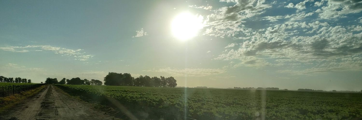 EmilioMoris's profile banner image