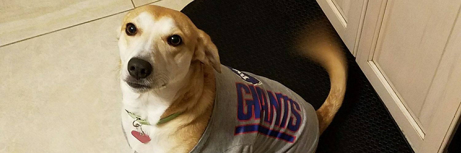 JoeNaddy's profile banner image
