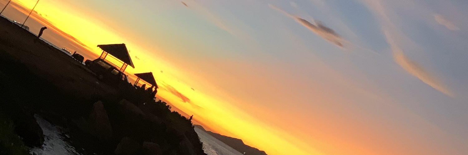 Tellmeyei's profile banner image