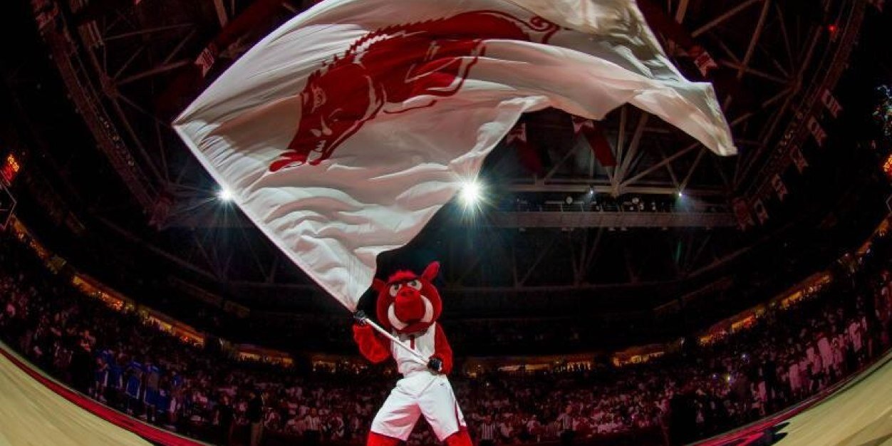 Hogfanatic3's profile banner image