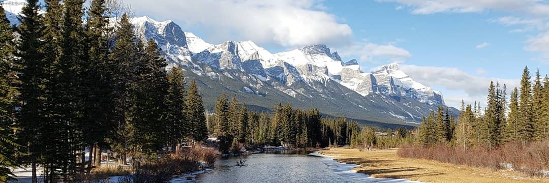 Stephanie Anne banner