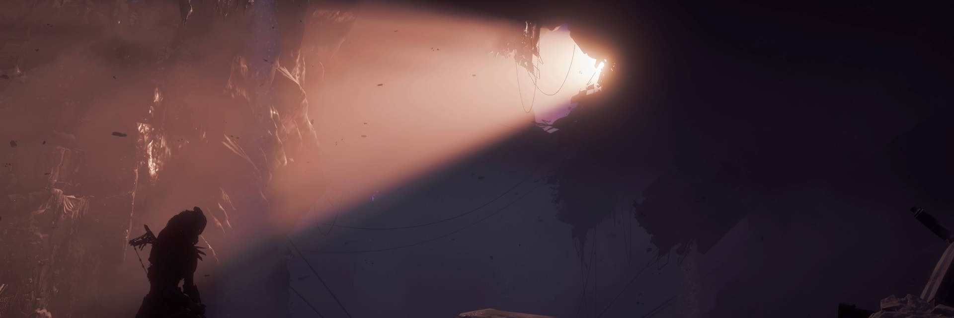 Hayden #BringBackDelfino banner