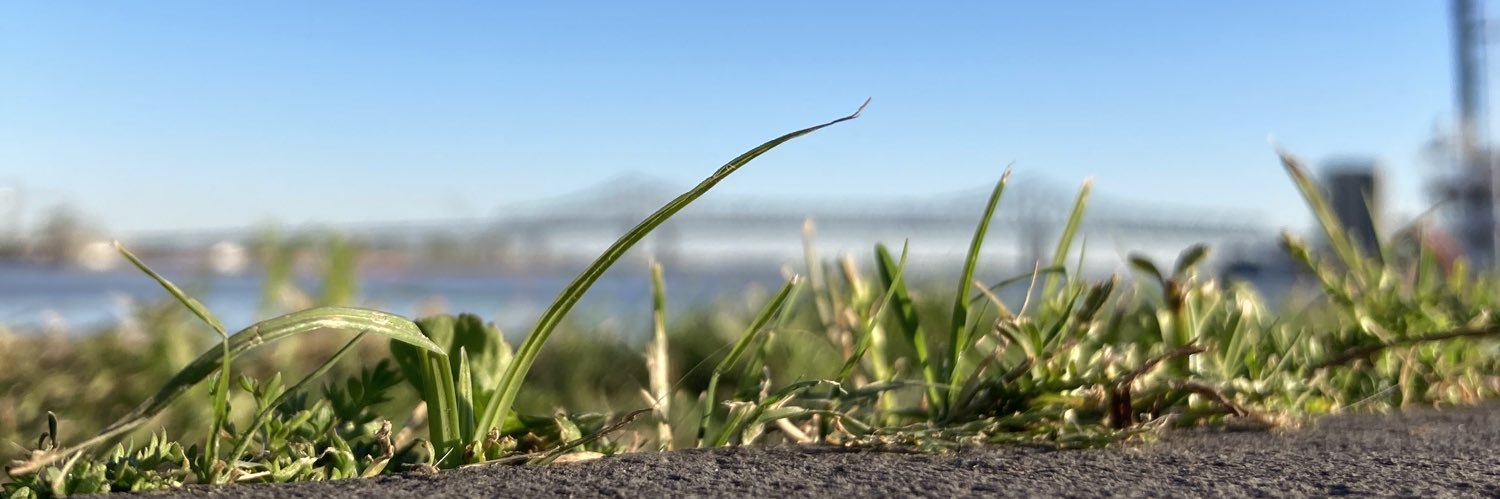 claudioarpa's profile banner image