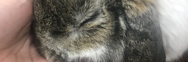 HIIT_uber Profile Banner