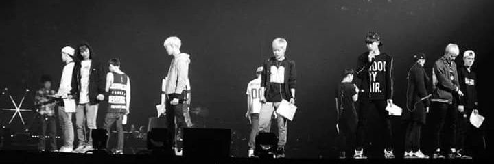 MarbelooV's profile banner image