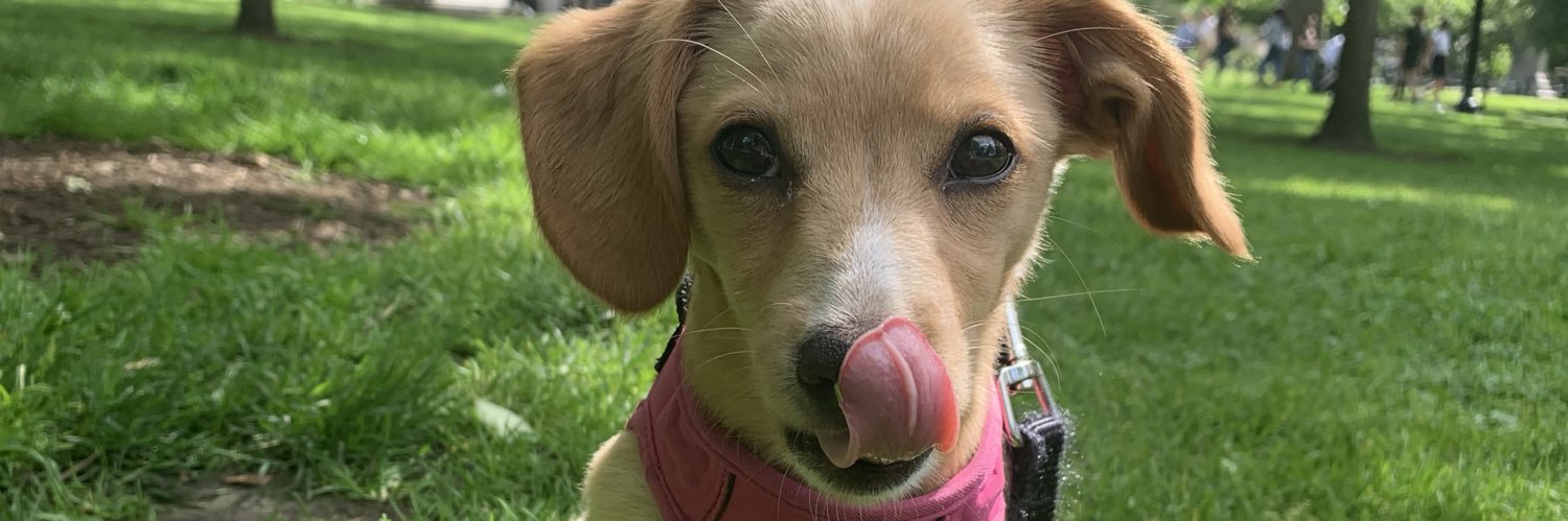 beccagaff's profile banner image