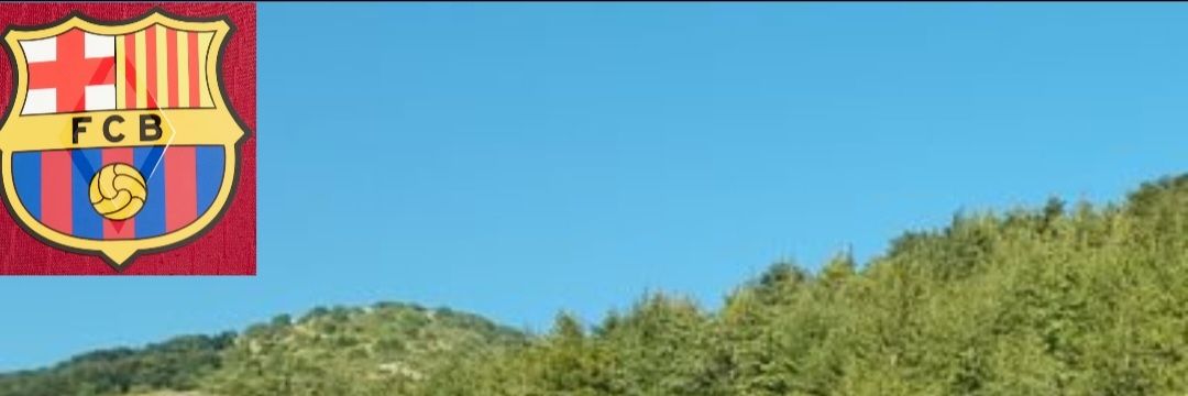 BasselDaou's profile banner image