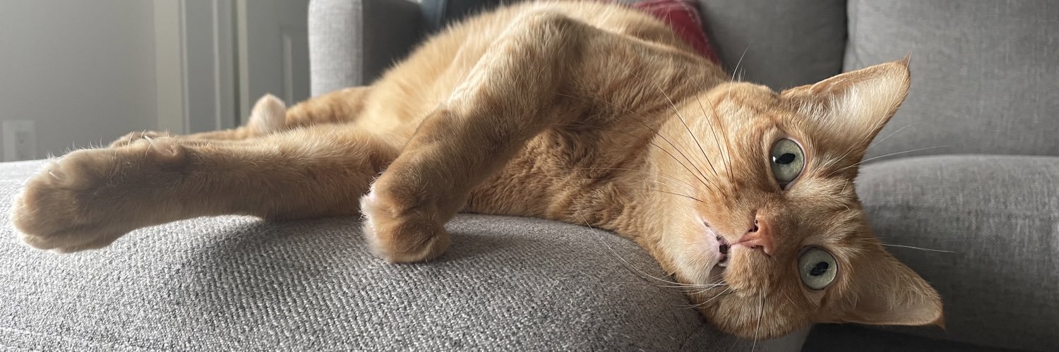 KitKatSamm's profile banner image