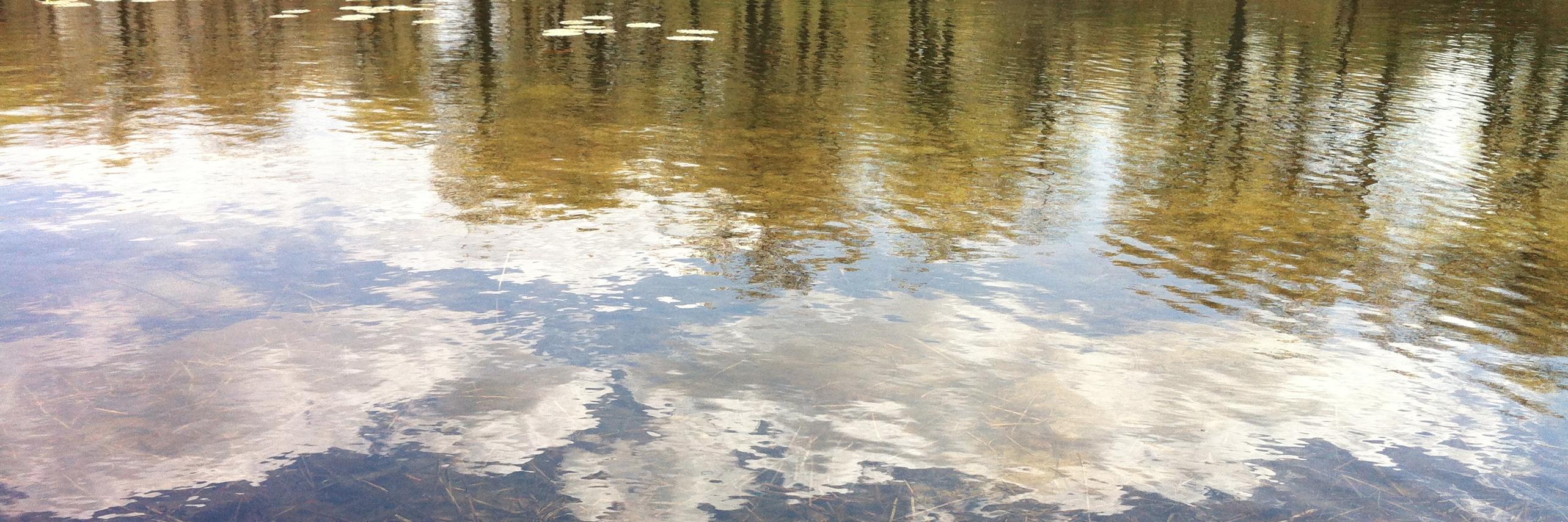 Midwest Society for Acoustic Ecology banner