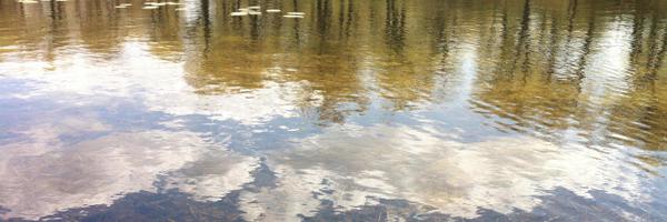 MidwestSocAE Profile Banner