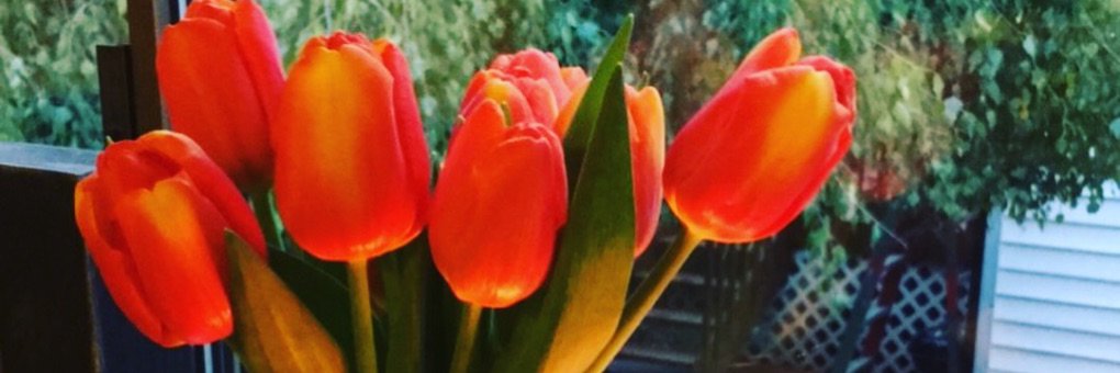 LindseyEGill's profile banner image