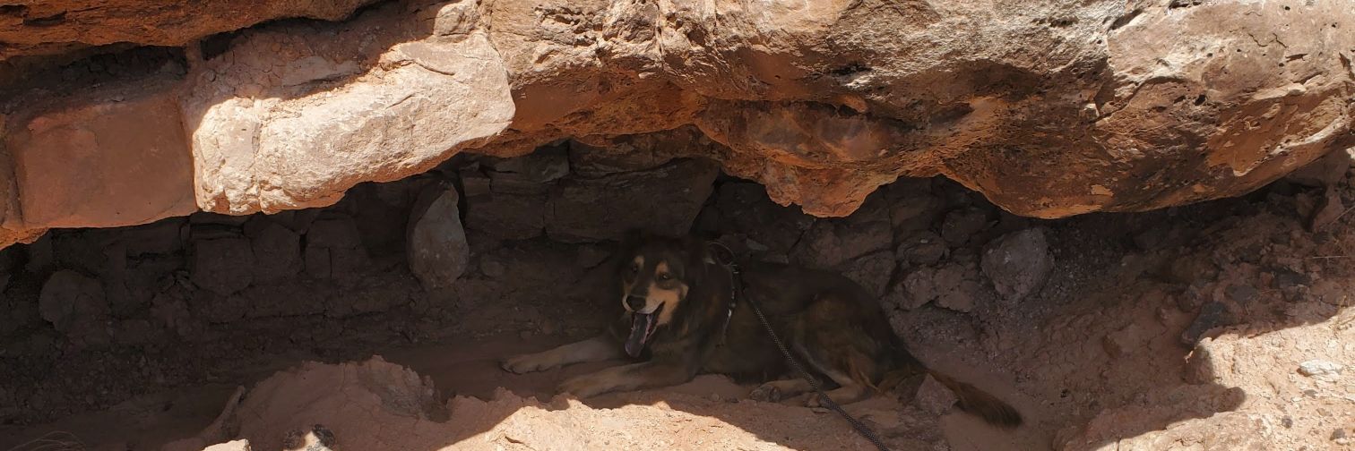 Houdini_Bitch's profile banner image