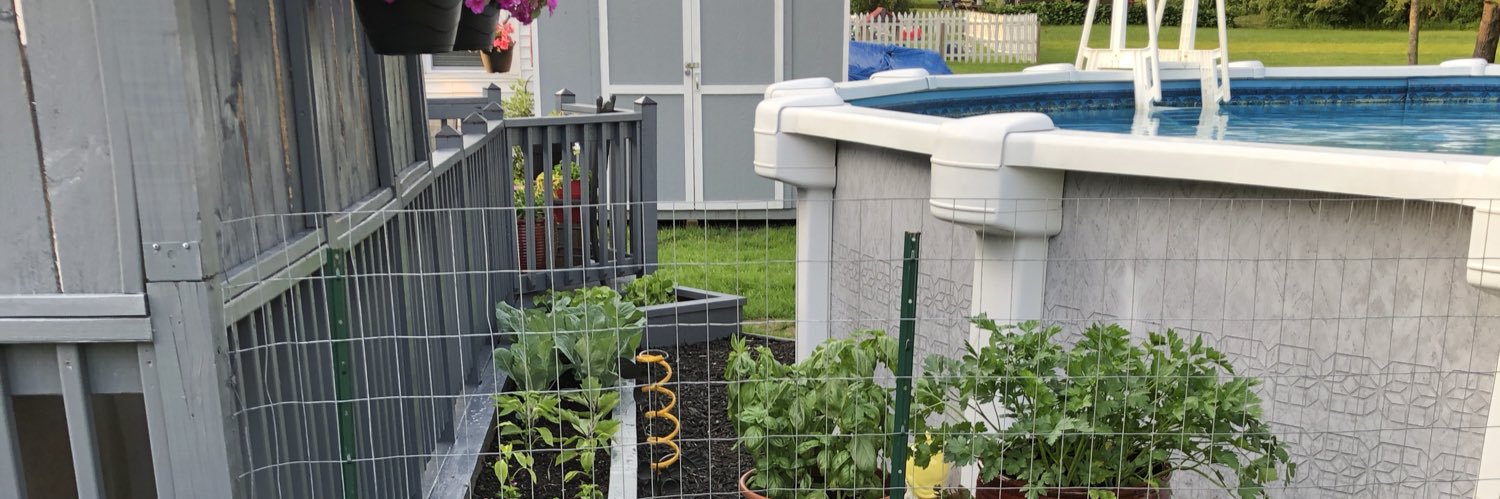 Chris Seahorn banner