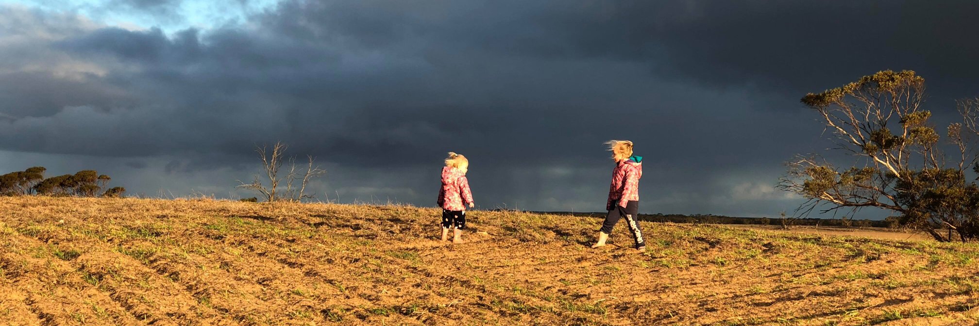 MurrayValleyStandard banner