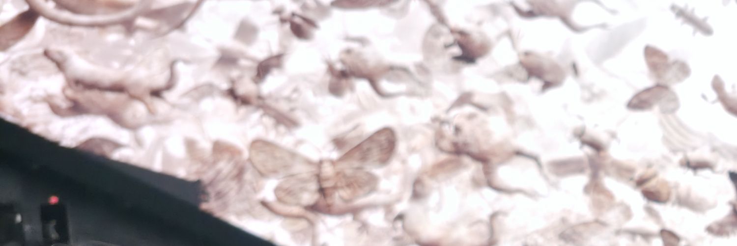 aidasf07's profile banner image