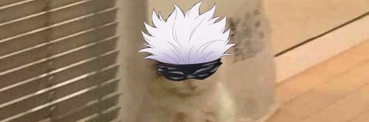 _Roudoudou_'s profile banner image