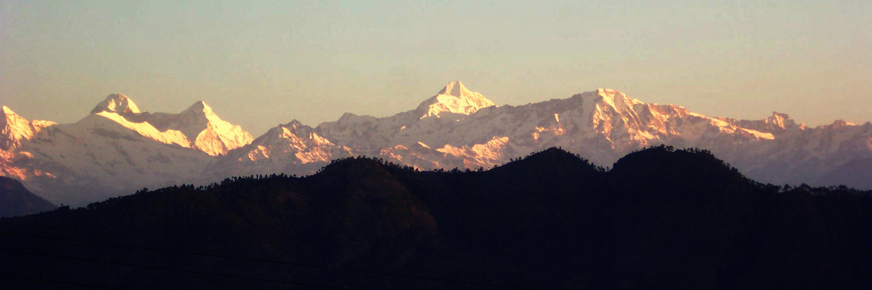 Pradeep K. Pant banner